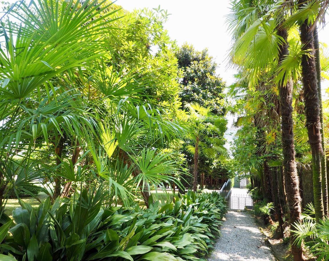 Bed and Breakfast Casa Mondadori Meina Exterior foto